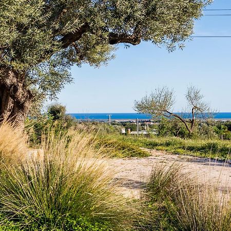 فيلا Quinta Da Baleeira تافيرا المظهر الخارجي الصورة